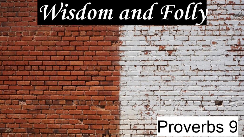 Wisdom and Folly