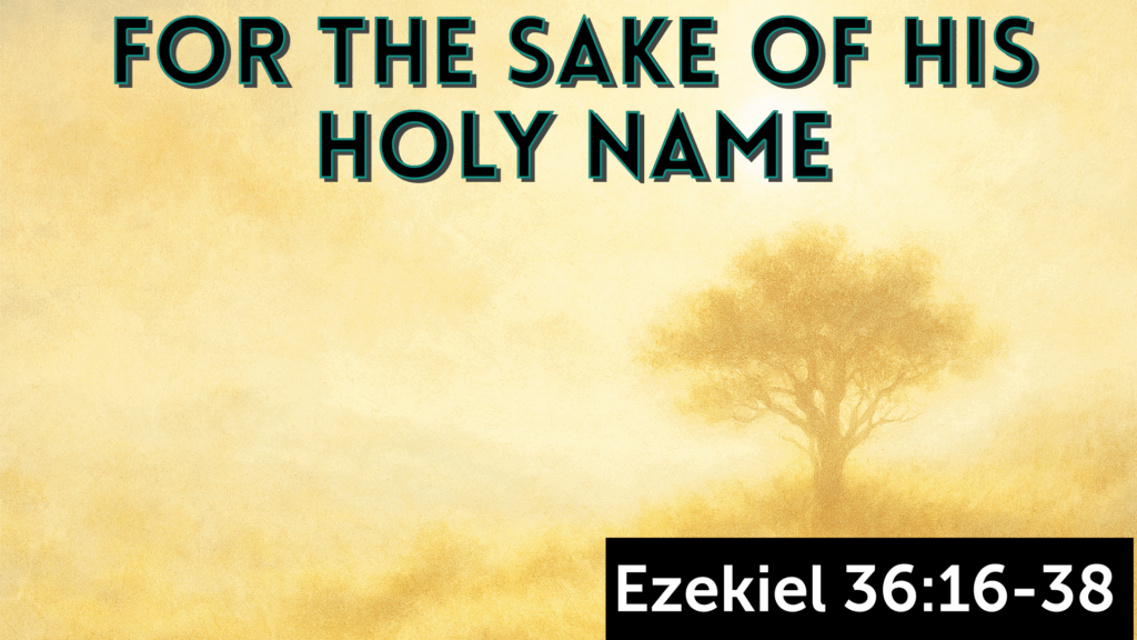 For the Sake of His Holy Name